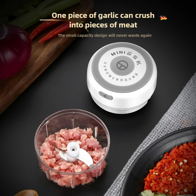 Electric Mini Garlic Chopper 1 - Baby Food Processor review and price